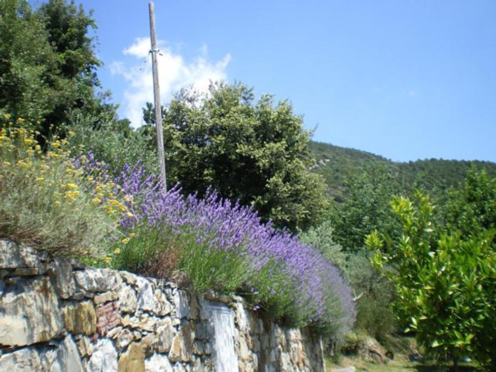 Cottage La Torre Del Pittore Bonassola Exteriér fotografie