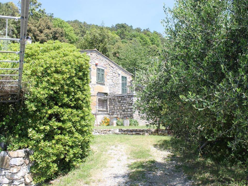 Cottage La Torre Del Pittore Bonassola Exteriér fotografie