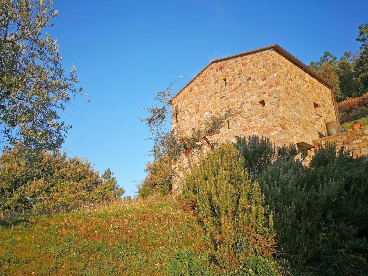 Cottage La Torre Del Pittore Bonassola Exteriér fotografie